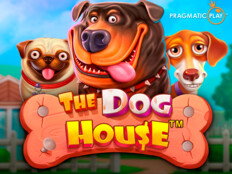 Pofuduk köpekler. Mrbahis freespins.54